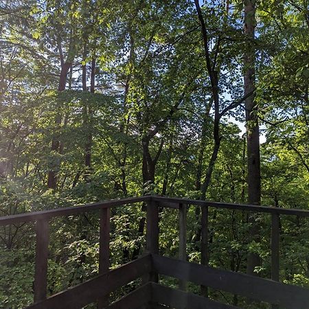 北杜市 Asuka'S House 八ヶ岳ヴィラ エクステリア 写真